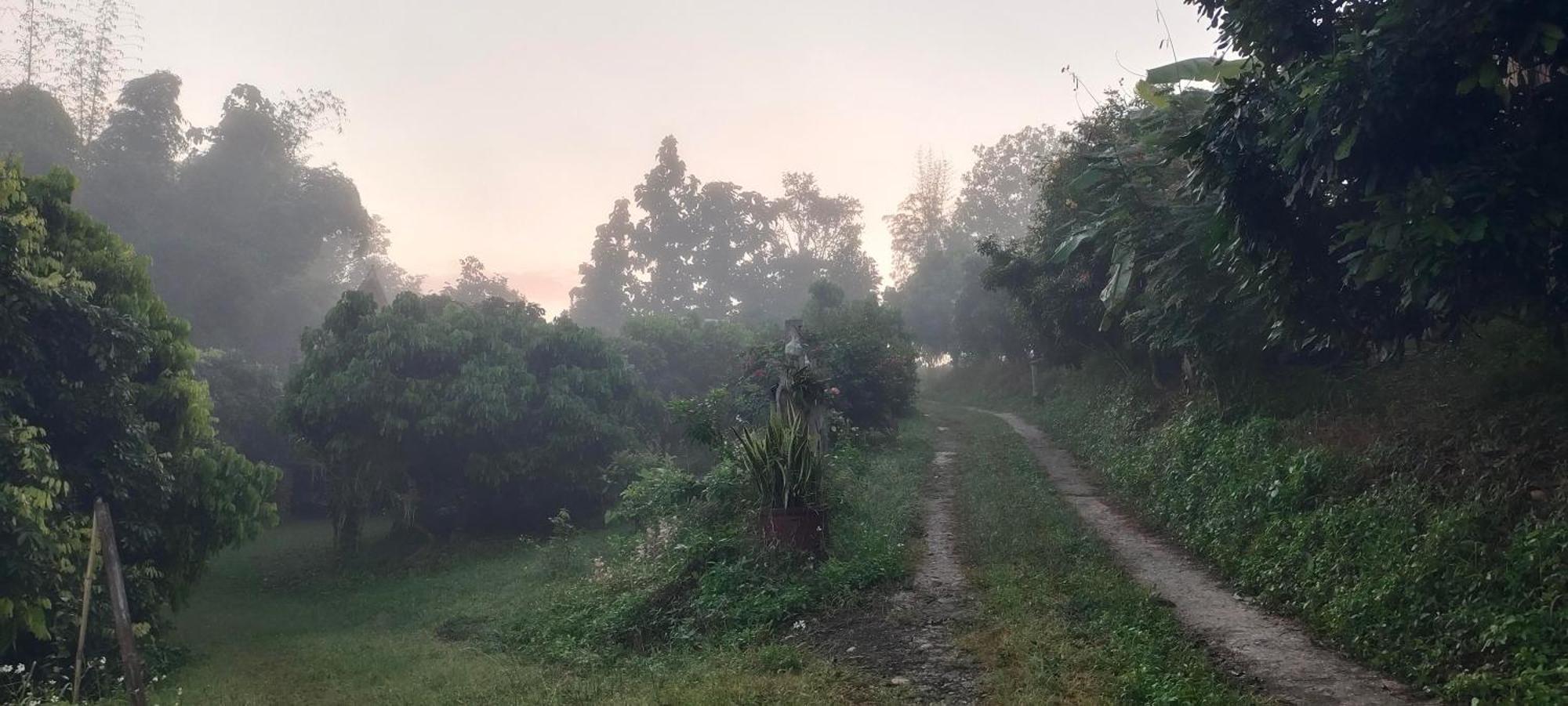 Baan 2 Dao Farmstay Chiang Dao Exteriör bild