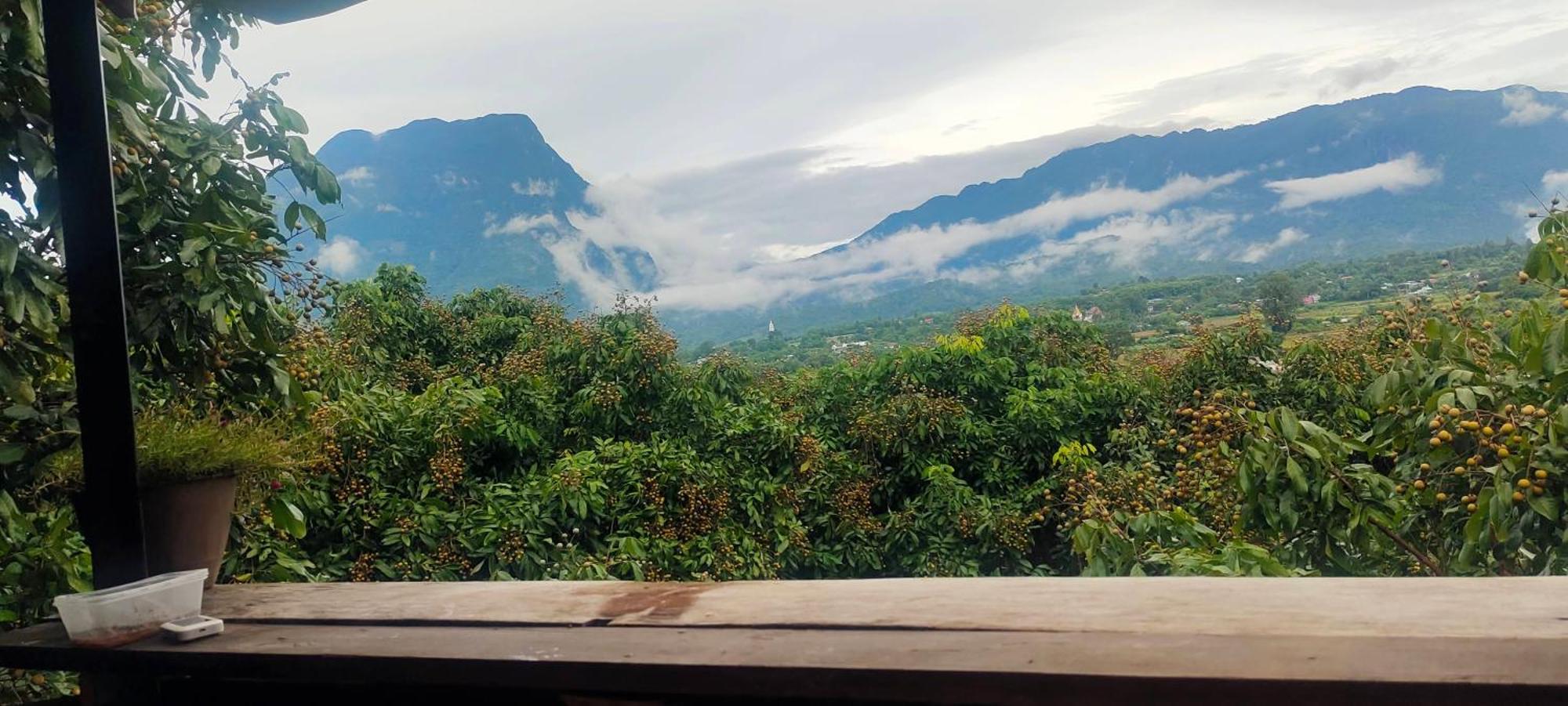Baan 2 Dao Farmstay Chiang Dao Exteriör bild