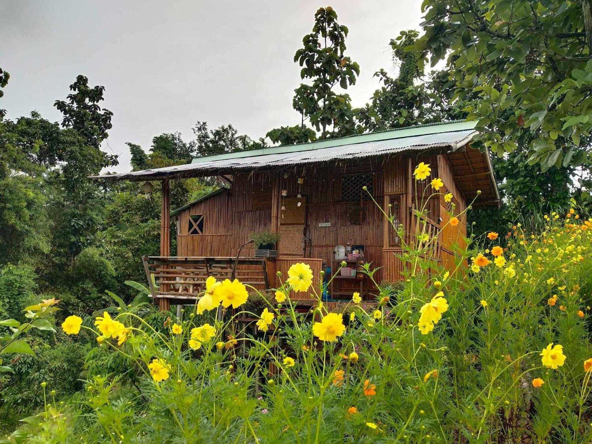 Baan 2 Dao Farmstay Chiang Dao Exteriör bild